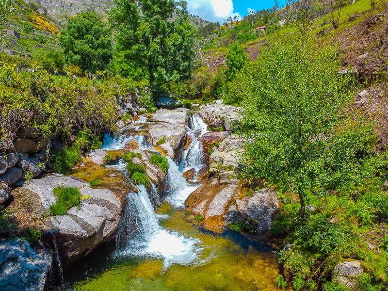 Casa Do Castelo- Serra Da Estrela Covilhã Εξωτερικό φωτογραφία